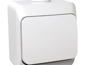Ключ СХ.6 Schneider CEDAR PLUS ПКОМ бял IP44
